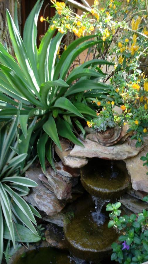 Eco Pousada Jardim Do Eden Alto Paraíso de Goiás Eksteriør billede