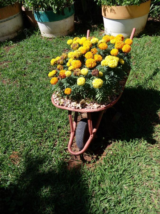 Eco Pousada Jardim Do Eden Alto Paraíso de Goiás Eksteriør billede