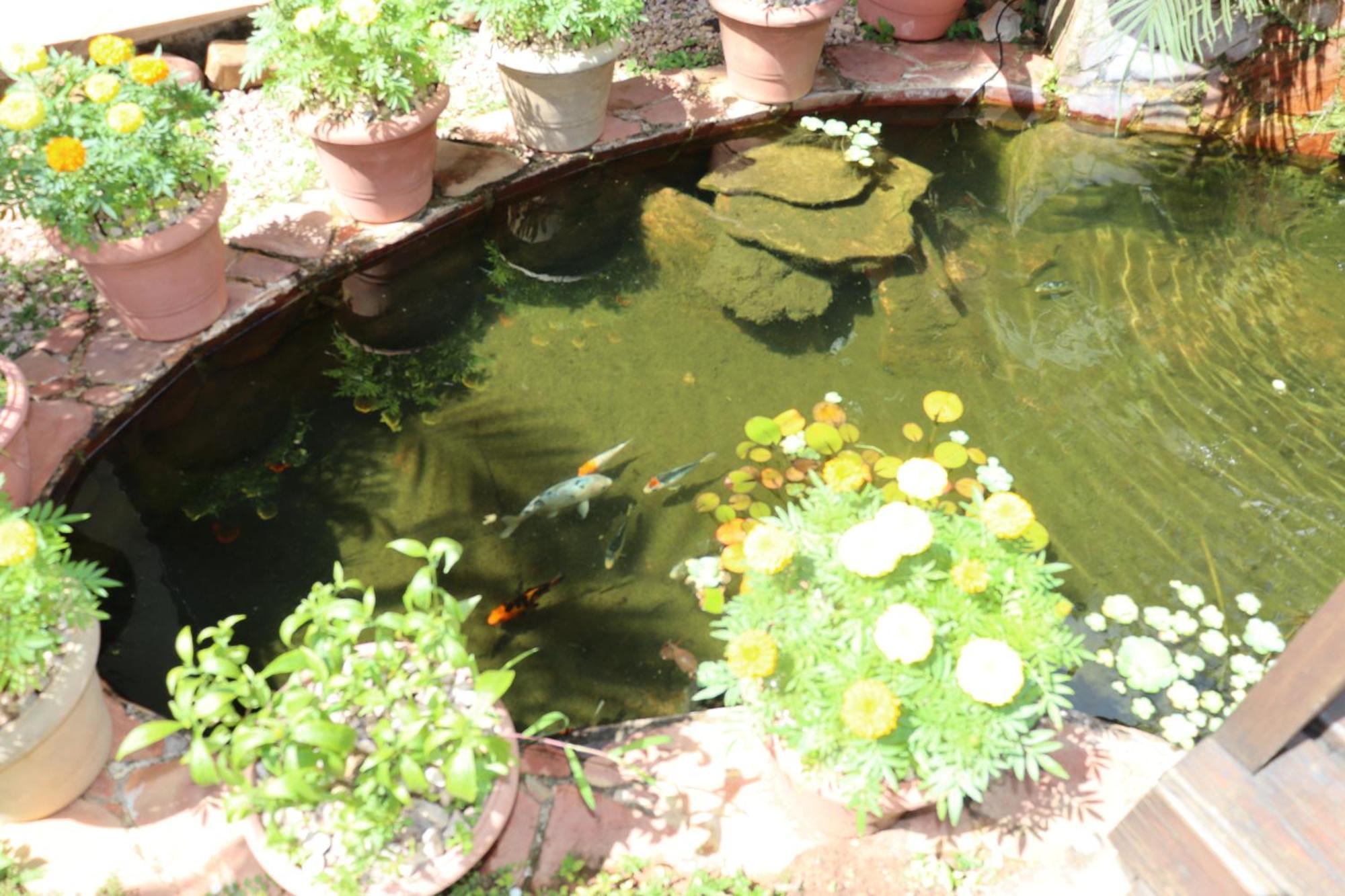Eco Pousada Jardim Do Eden Alto Paraíso de Goiás Eksteriør billede