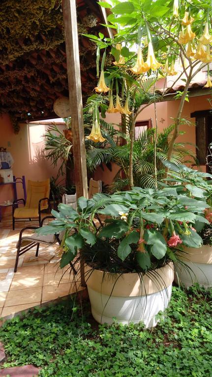 Eco Pousada Jardim Do Eden Alto Paraíso de Goiás Eksteriør billede