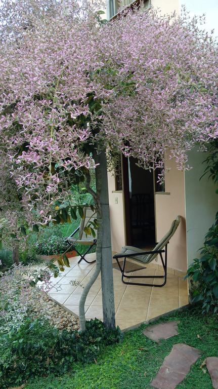 Eco Pousada Jardim Do Eden Alto Paraíso de Goiás Eksteriør billede