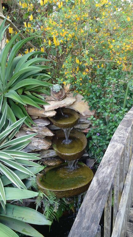 Eco Pousada Jardim Do Eden Alto Paraíso de Goiás Eksteriør billede